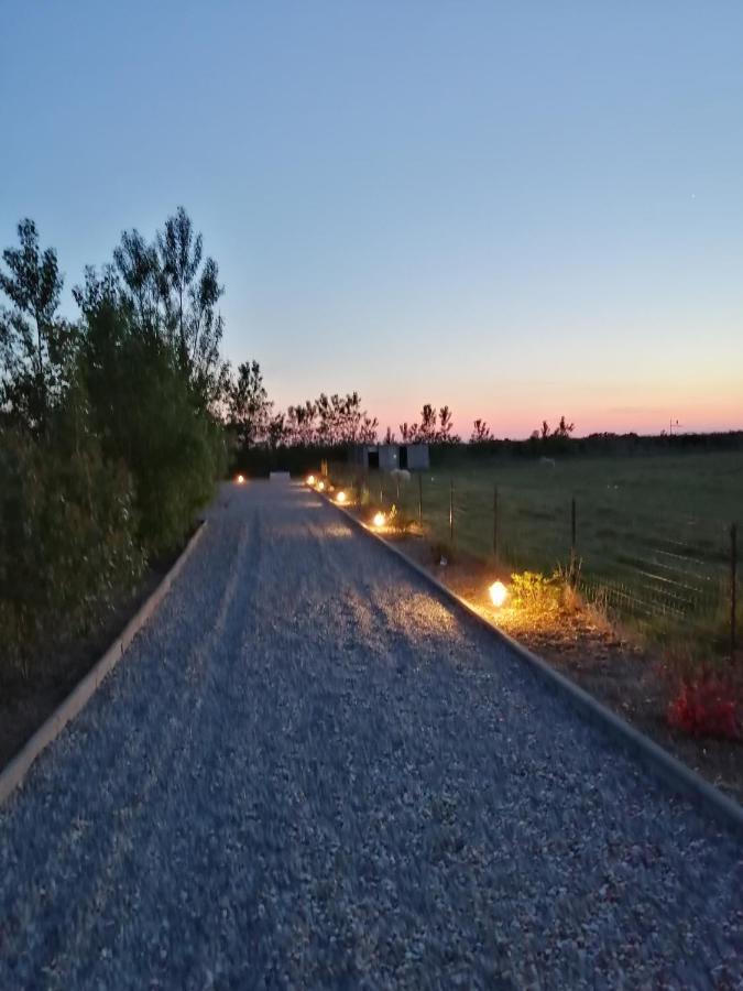 Gite Repos Et Tranquillite P Cayeux-sur-Mer Dış mekan fotoğraf