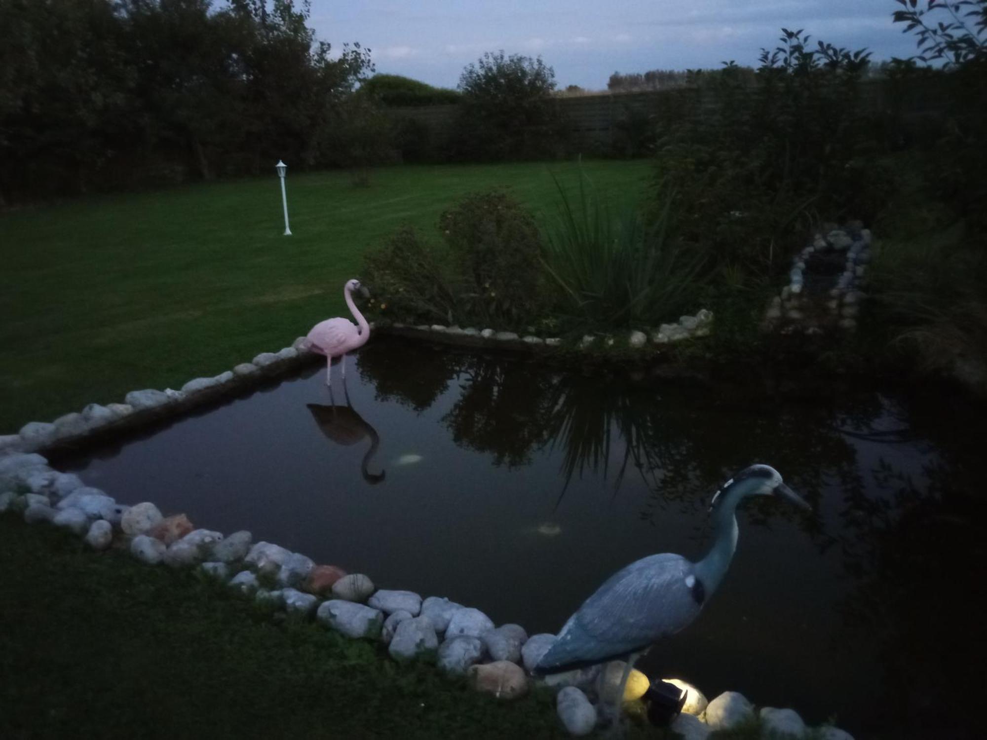 Gite Repos Et Tranquillite P Cayeux-sur-Mer Dış mekan fotoğraf