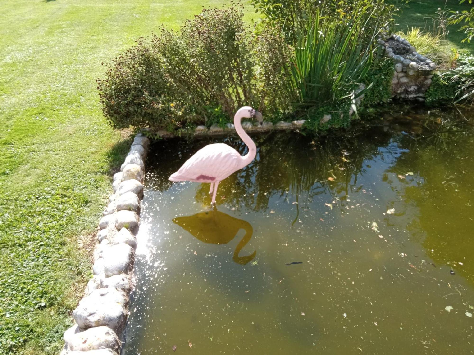 Gite Repos Et Tranquillite P Cayeux-sur-Mer Dış mekan fotoğraf